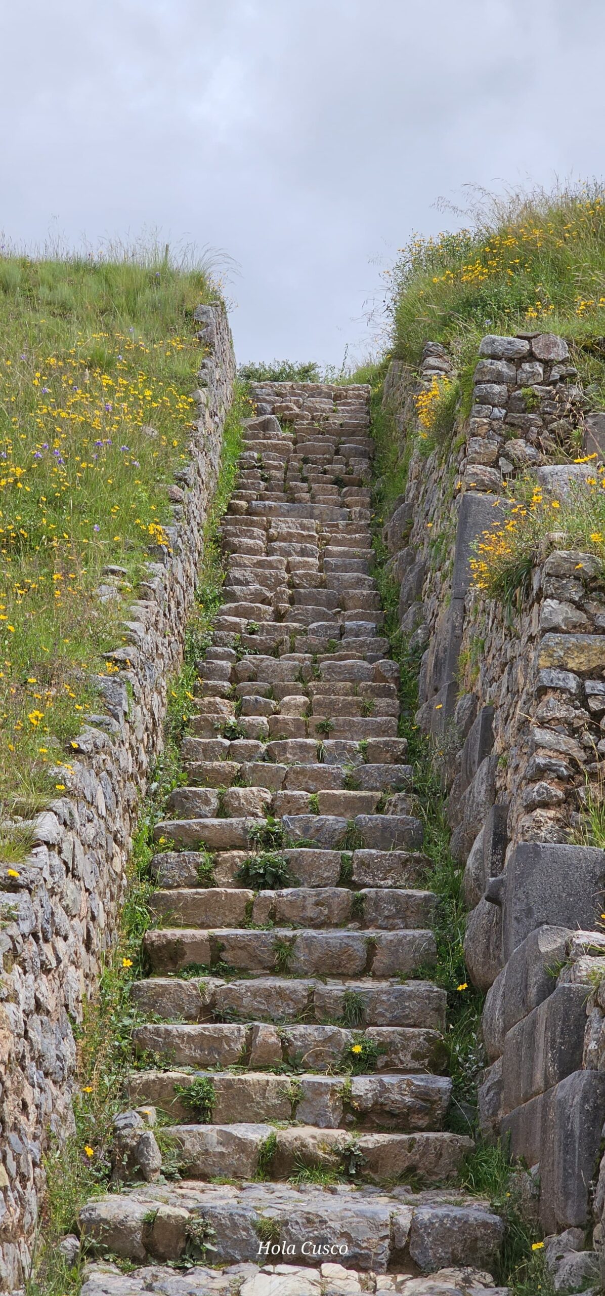 WhatsApp Image 2024-04-28 at 8.23.35 PM (1)